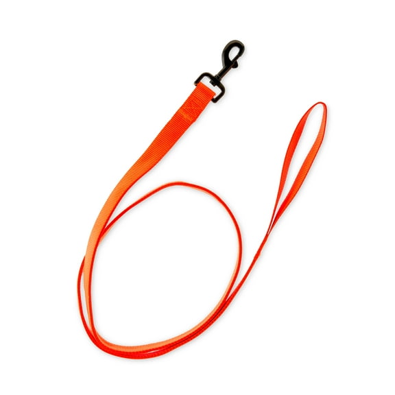 Vibrant Life 5' Nylon Metal Standard Dog Leash, Hunter Orange, L