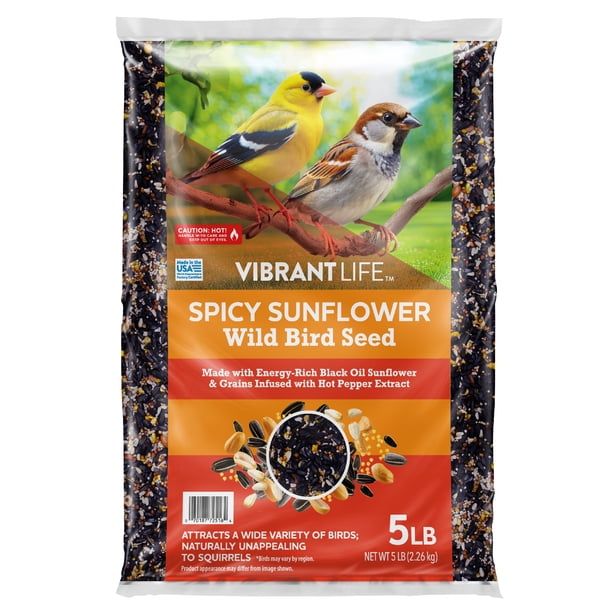 Vibrant Life Spicy Sunflower Wild Bird Seed, 5 lb Bag - Walmart.com