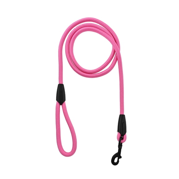 Vibrant Life 6' Padded Handle Rope Leash, Pink, M/L