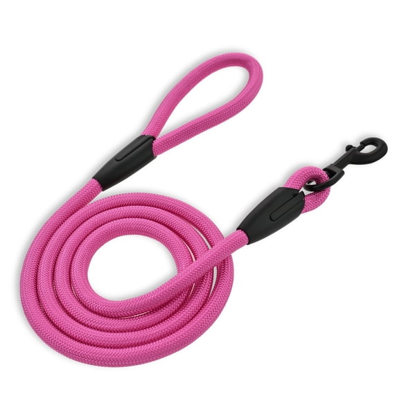 Vibrant Life 6' Padded Handle Rope Leash, Pink, M/L