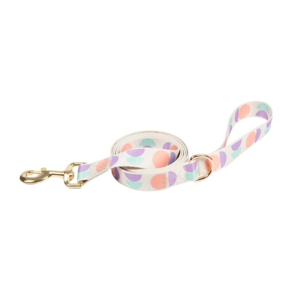 Vibrant Life 6' Polyester Abstract Geometric Pattern Standard Dog Leash, Multicolor