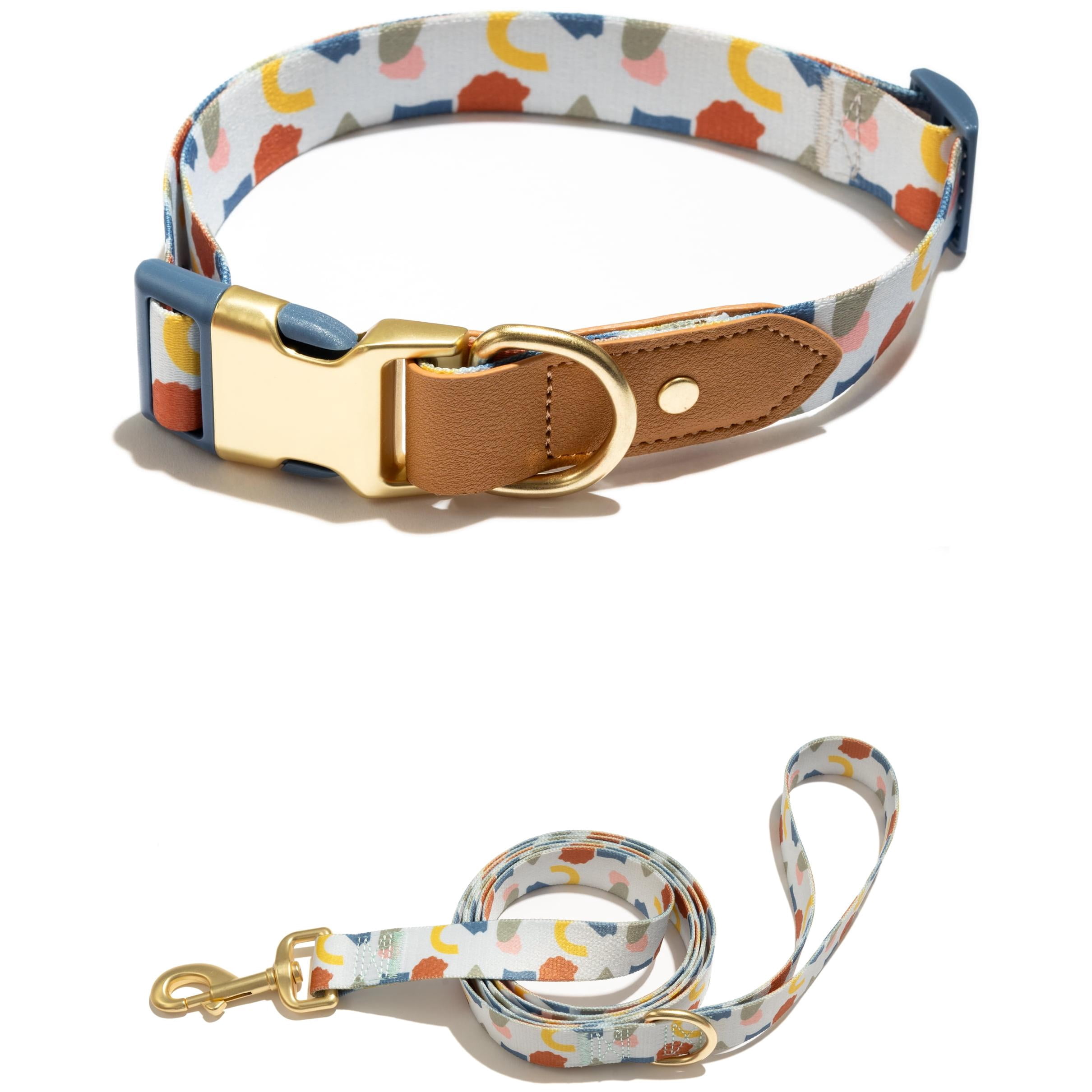 Vibrant Life Abstract Shapes Print Fashion Dog Collar with Metal Buckle and 6ft leash, White, Large