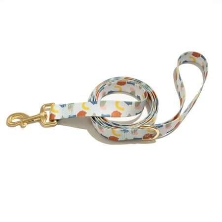 Vibrant Life 6' Polyester Abstract Shapes Standard Dog Leash, Multicolor price history and forecast - Vibrant Life