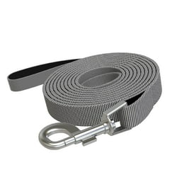 Good2go leash 2025