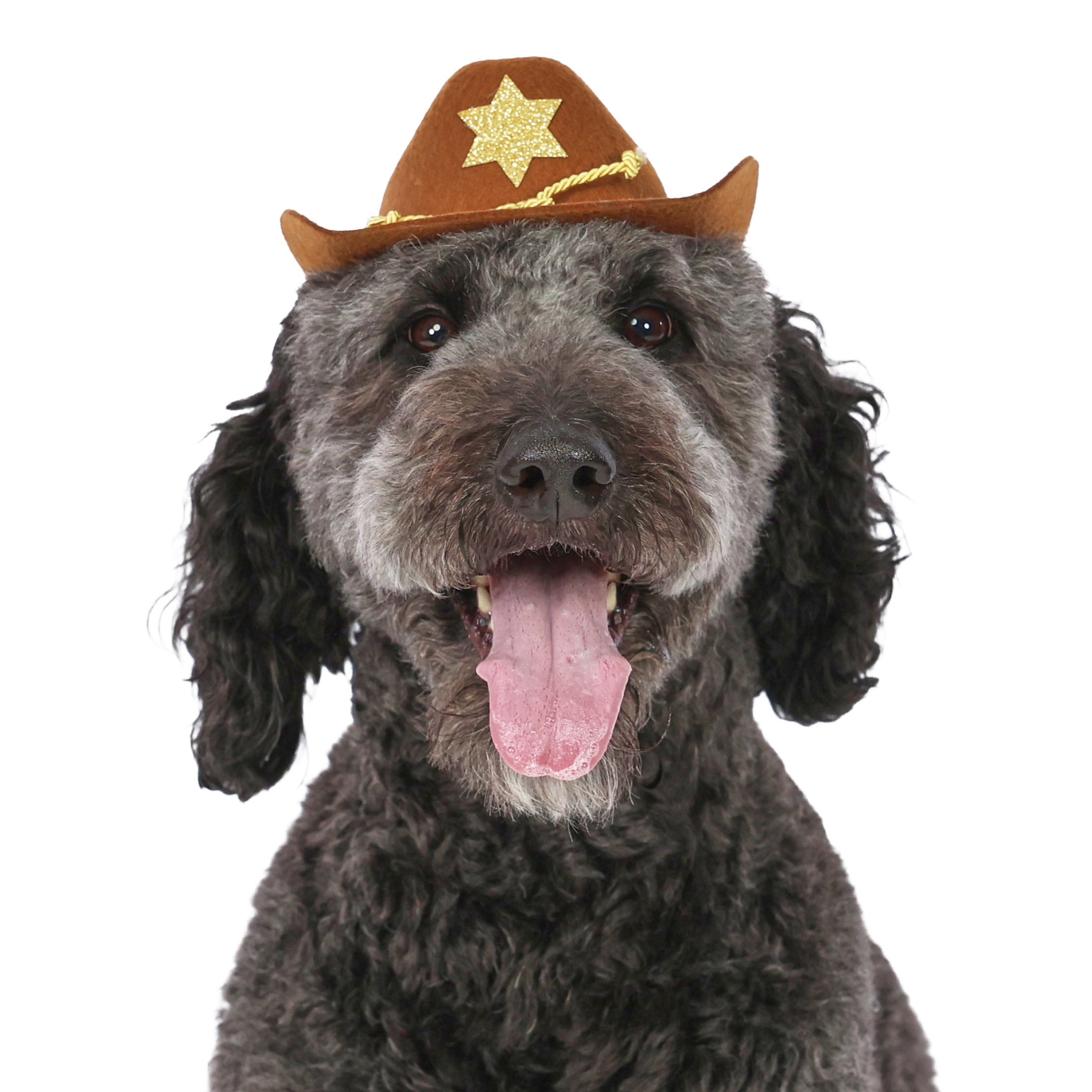 Vibrant Life Halloween Cowboy Hat Costume for Dogs, Brown, M/L