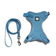 thumbnail image 1 of Vibrant Life Mesh Cat Harness & Leash Set, Blue, One Size Fits Most, 1 of 7
