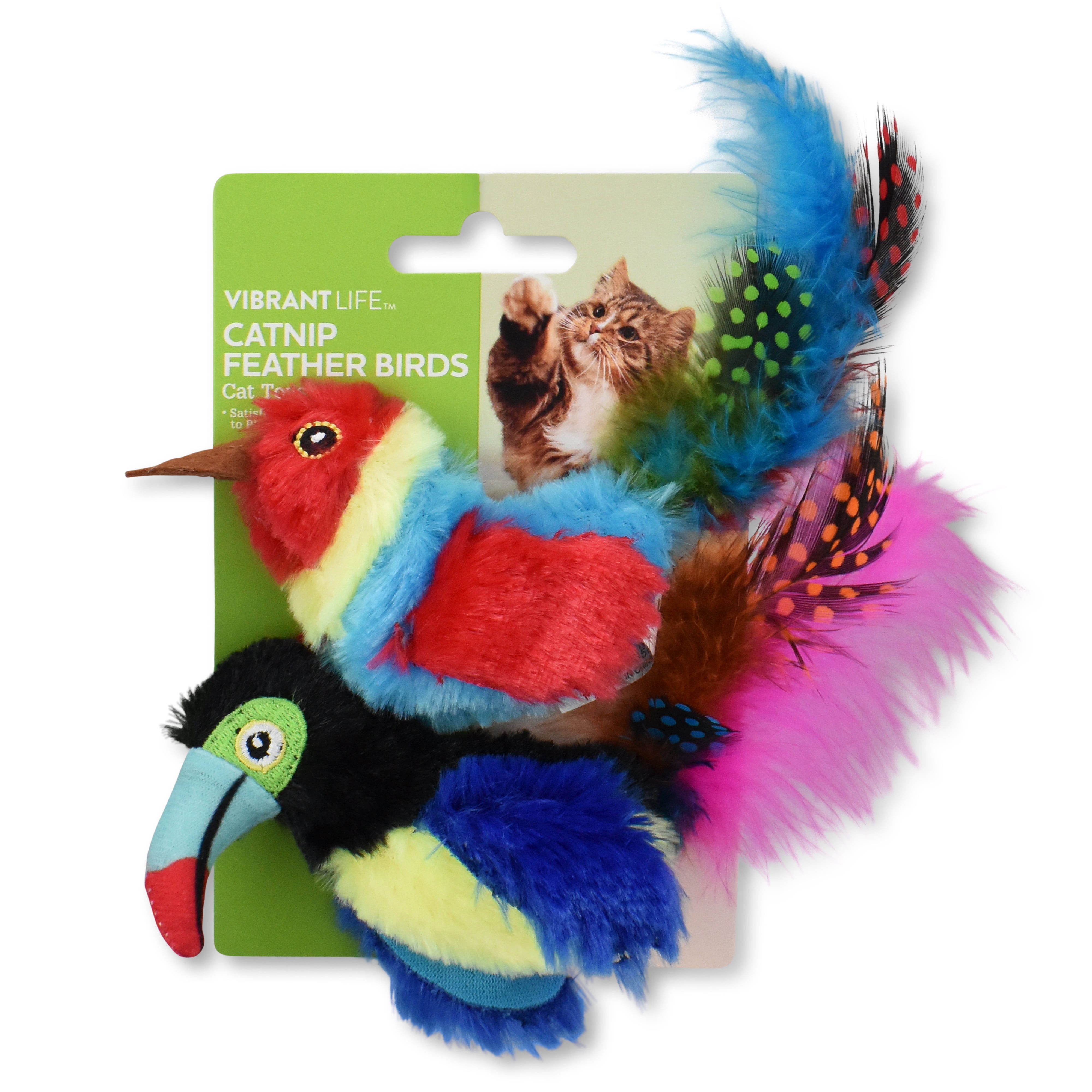 Vibrant Life Catnip Feather Birds Cat Toys, Blue and Green, 2 Pack