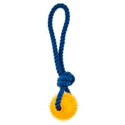 Vibrant Life Chomp and Tug Buddy Spikey Ball Dog Chew Toy