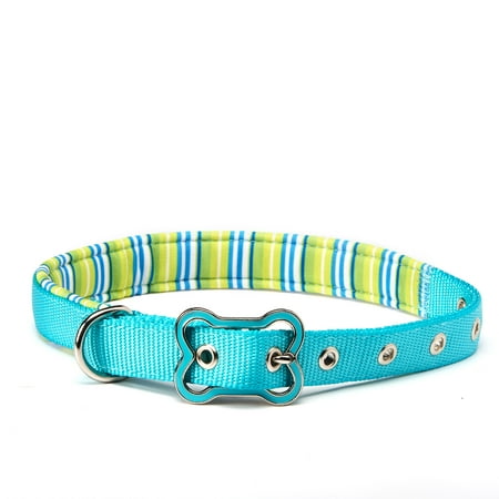 Vibrant Life Comfort Padded Dog Collar, Teal Striped, Medium
