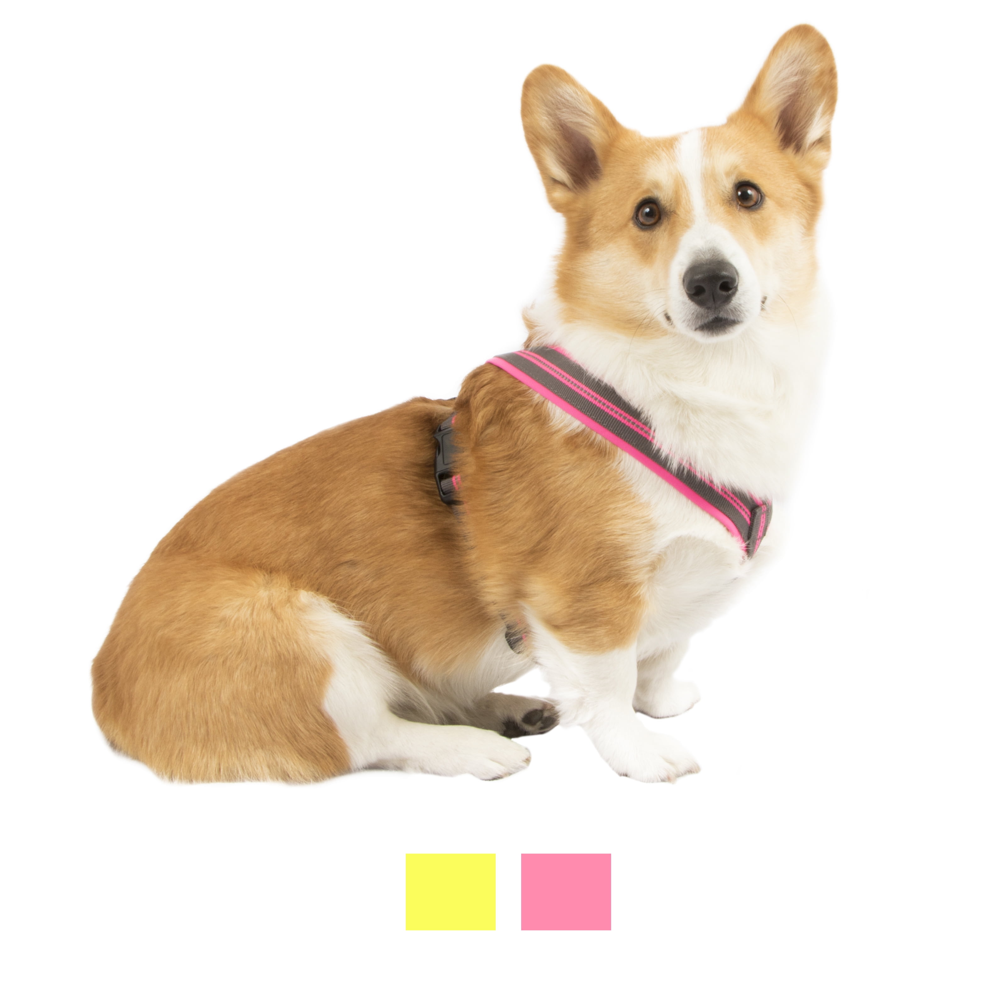 Vibrant life pet clearance steps