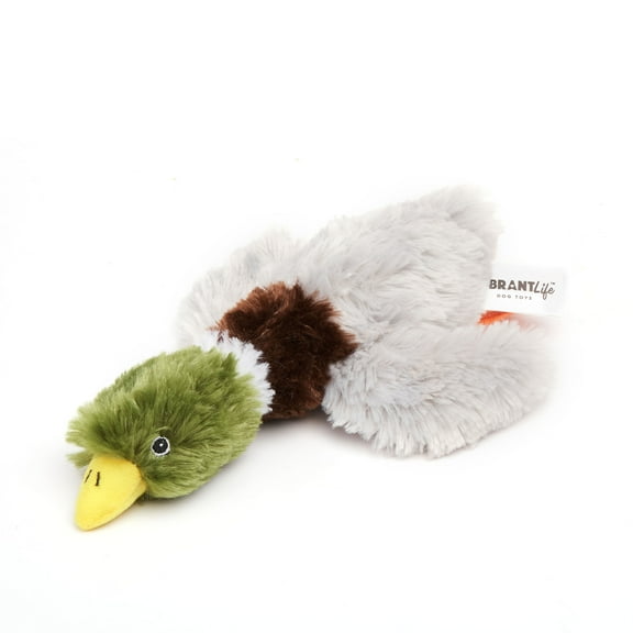 Vibrant Life Cozy Buddy Squeaky Mallard Duck Dog Toy, Chew Level 2