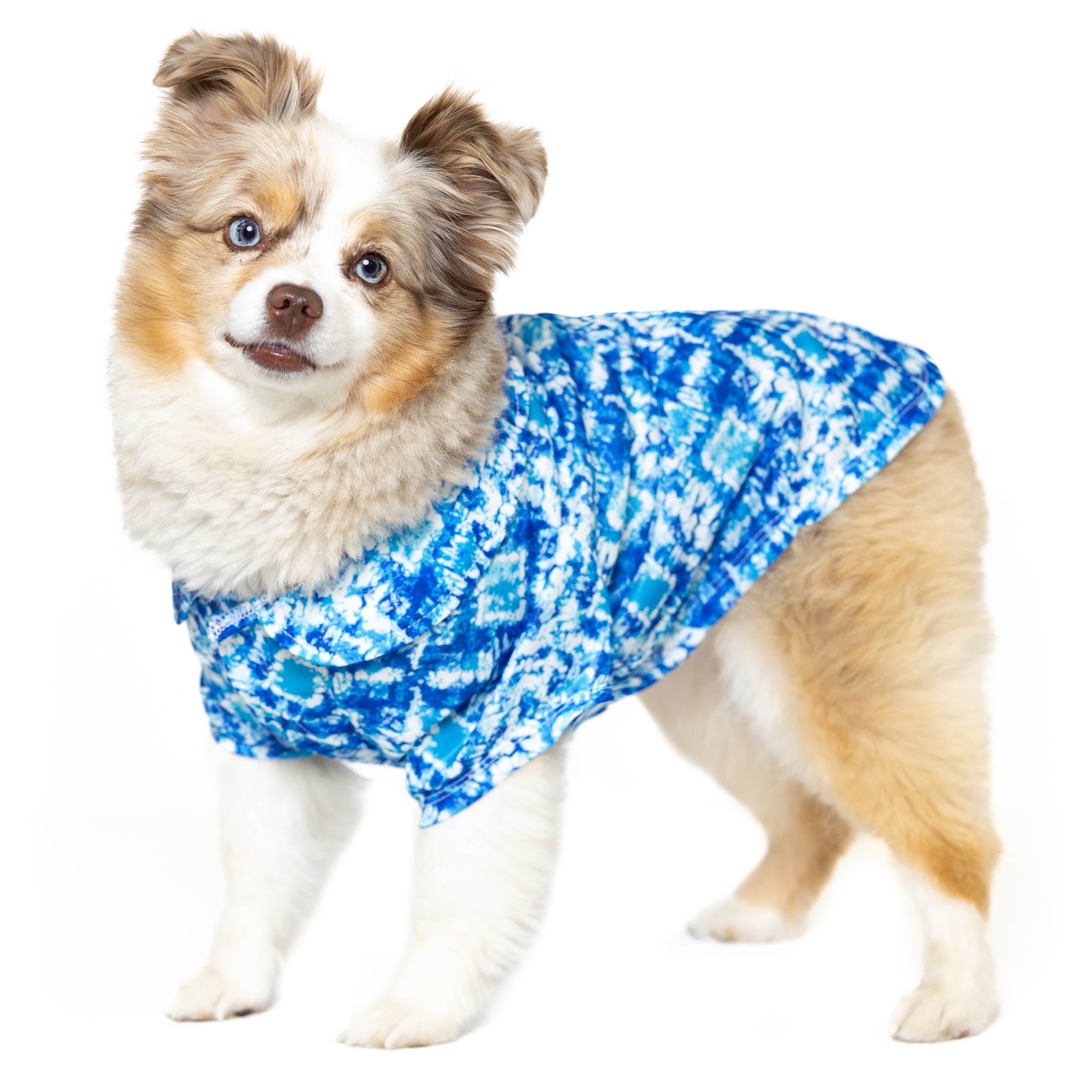 Vibrant Life Dog & Cat Clothing: Tie-Dye Print Camp Shirt, Blue, Size Small