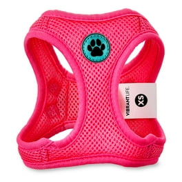 Good2go mesh cat harness online