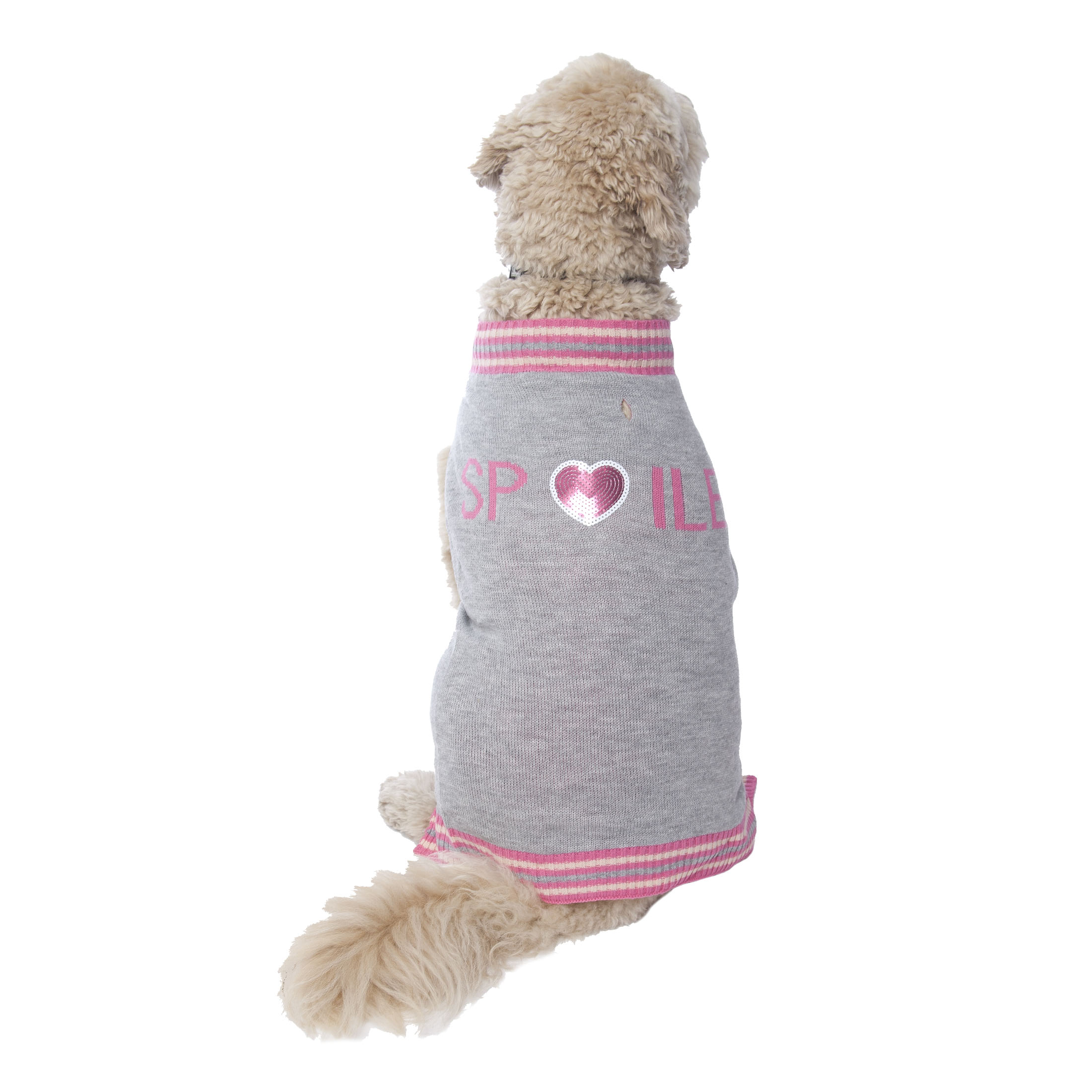 Vibrant Life Dog Sweater Spoiled Girl Large