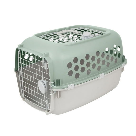 Vibrant Life 2-Door 24" Plastic Portable Kennel for Dogs, Green