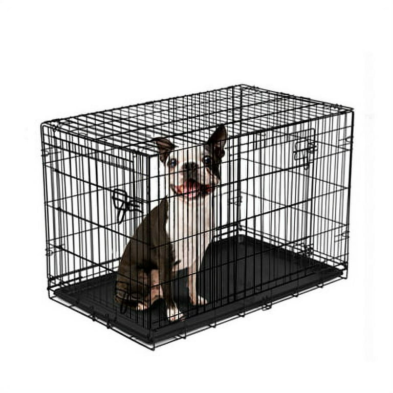 Vibrant Life Double-Door Foldable Metal Wire Dog Crate with Divider, Small,  24