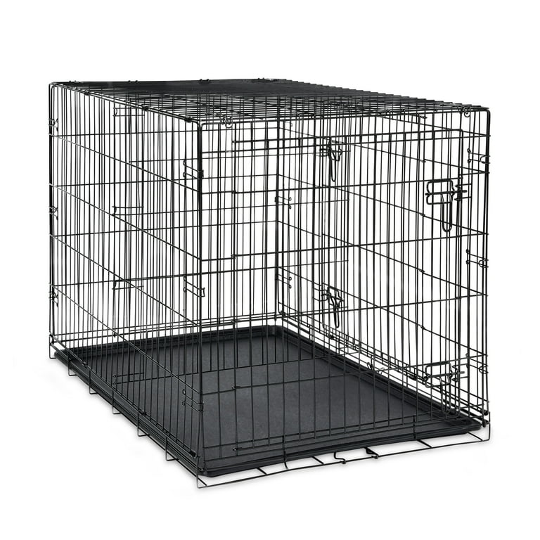 BAD CAT Double Drive 美品 BAD CAT Double Drive 美品