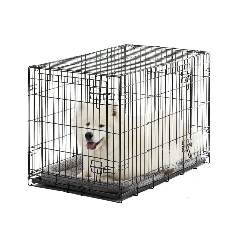 Vibrant Life, Single-Door Folding Dog Crate with Divider, Small, 22
