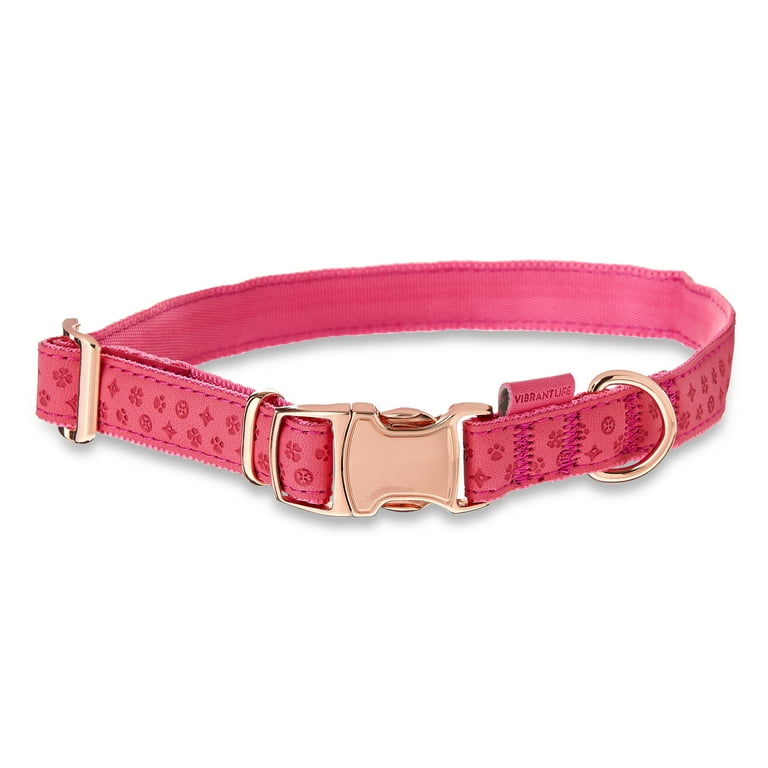 Medium dog collar online