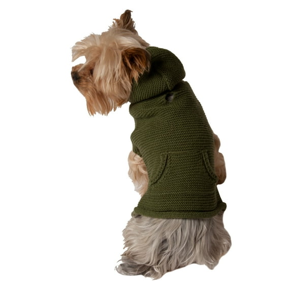 Vibrant Life Fall Forest Green Hood with Pocket Dog Sweater