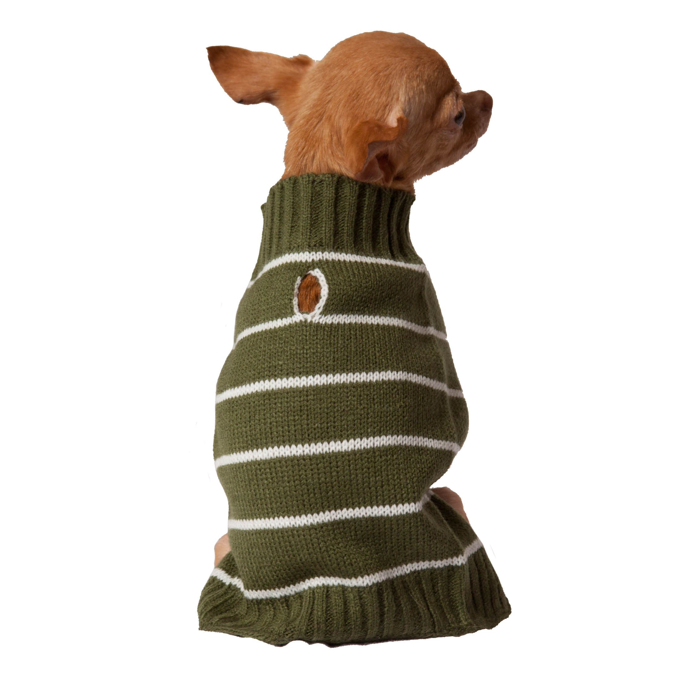 Vibrant Life Fall Forest Green Striped Dog Sweater