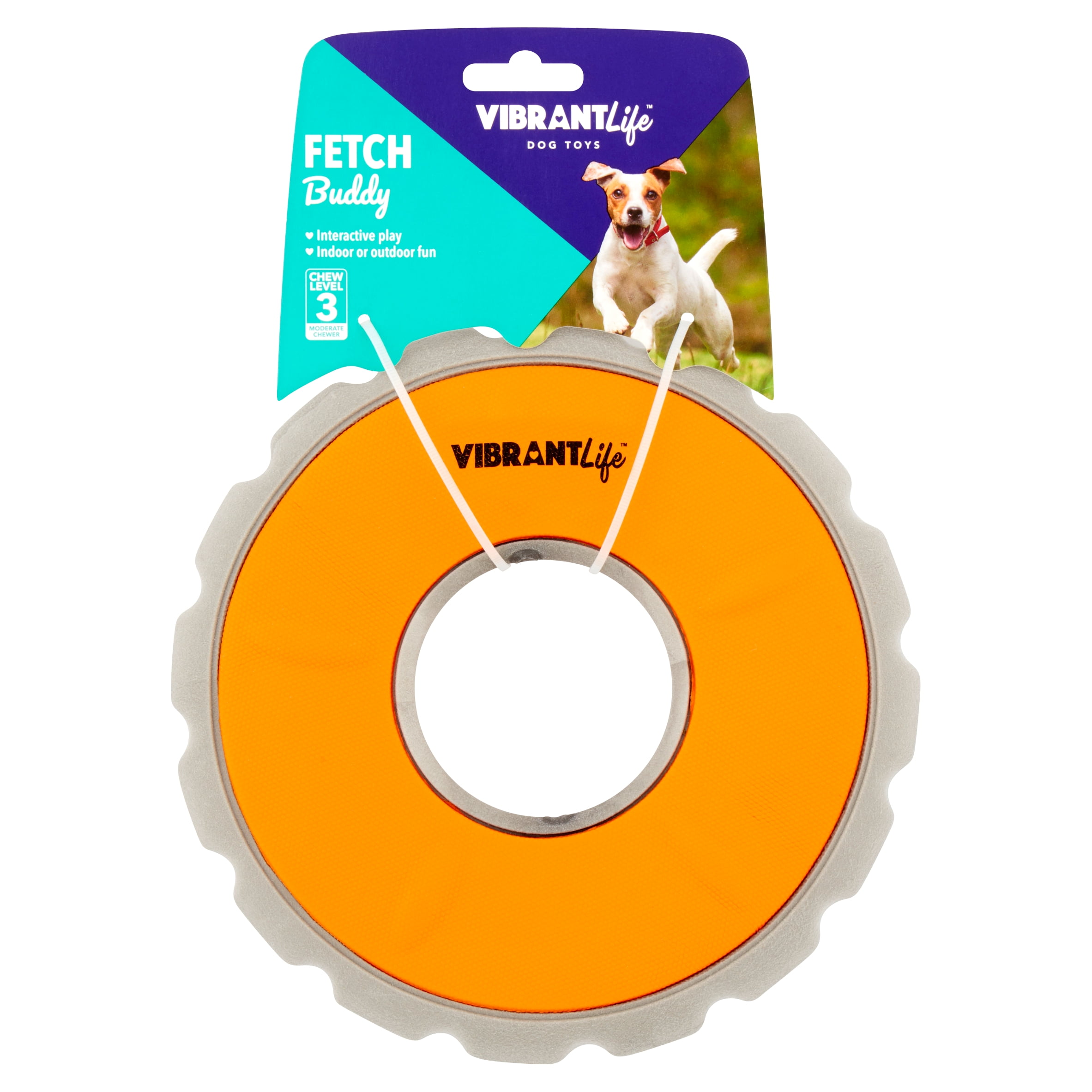 Vibrant Life Fetch Buddy Disc Interactive Dog Fetch Toy, Color May Vary