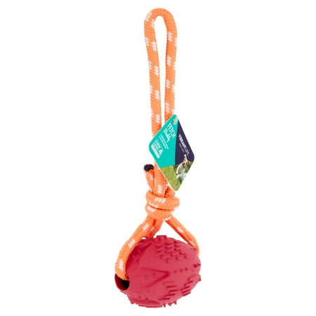 Vibrant Life Fetch Buddy Rubber Toy with Rope Dog Toys
