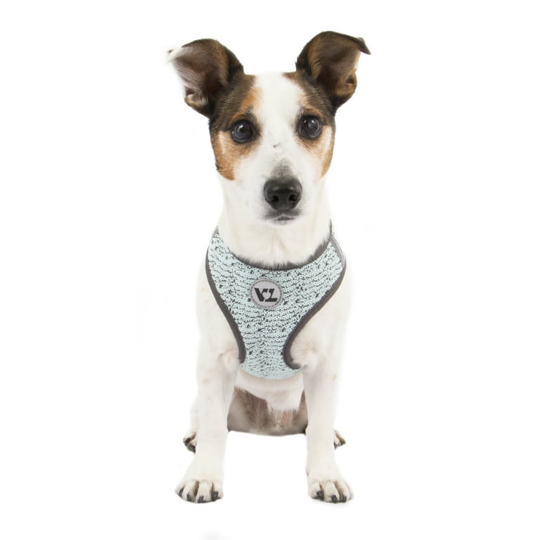 Vibrant life fashion harness shop for dogs