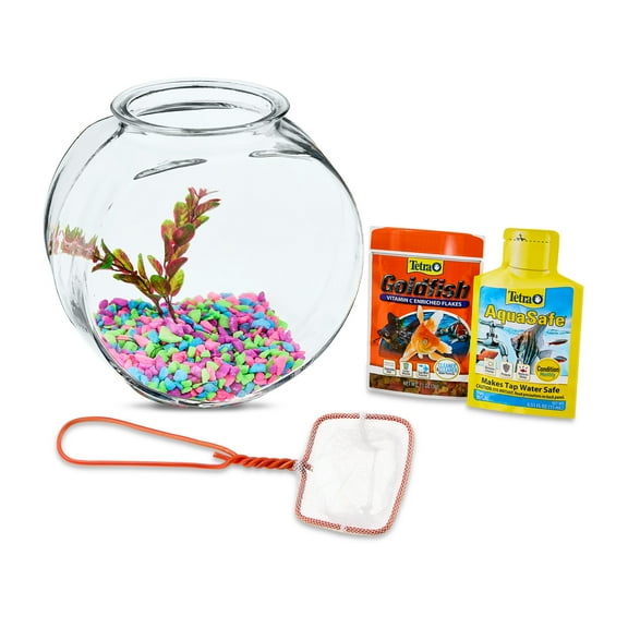 Vibrant Life Glass Fish Bowl with Starter Kit, 1 Gallon