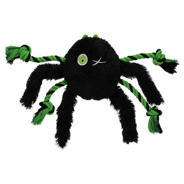 Vibrant Life Halloween Black and Green Creepy Crawla Spider Plush Dog ...