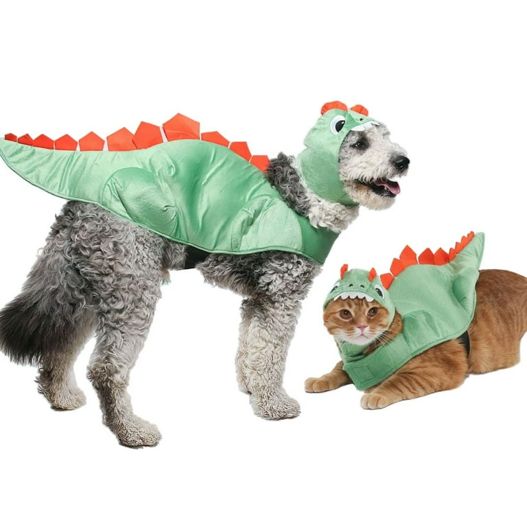 Vibrant Life Vl Hw Dinosaur Costume Small