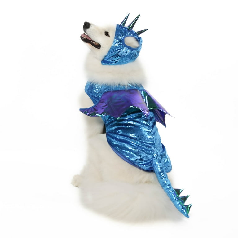 Large dog dragon clearance costume