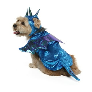 Fly dragon top puppy costume