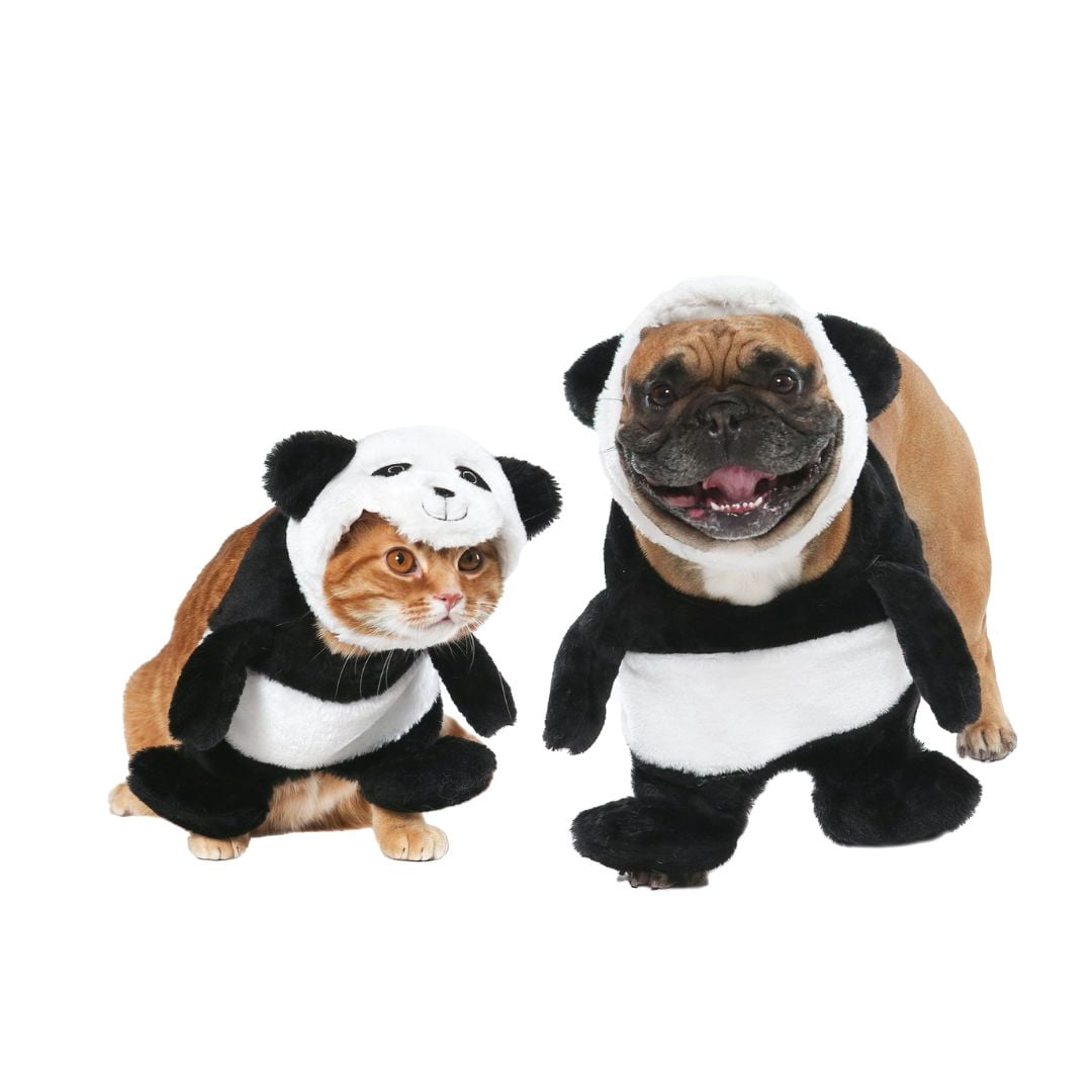 Vibrant Life Halloween Dog Costume and Cat Costume: Panda, Size Extra-Small