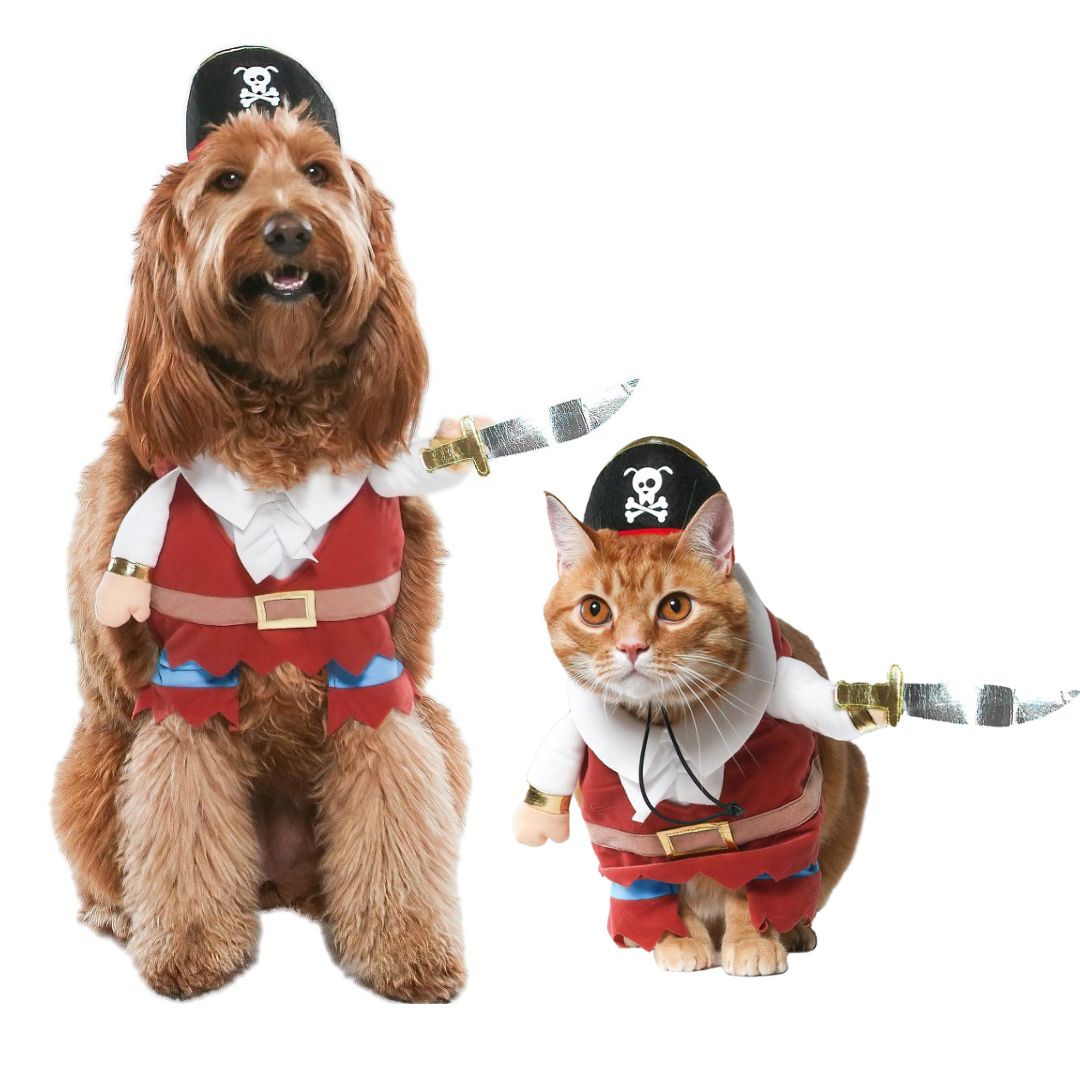 Vibrant Life Halloween Dog Costume and Cat Costume: Pirate, Size Small - Walmart.com
