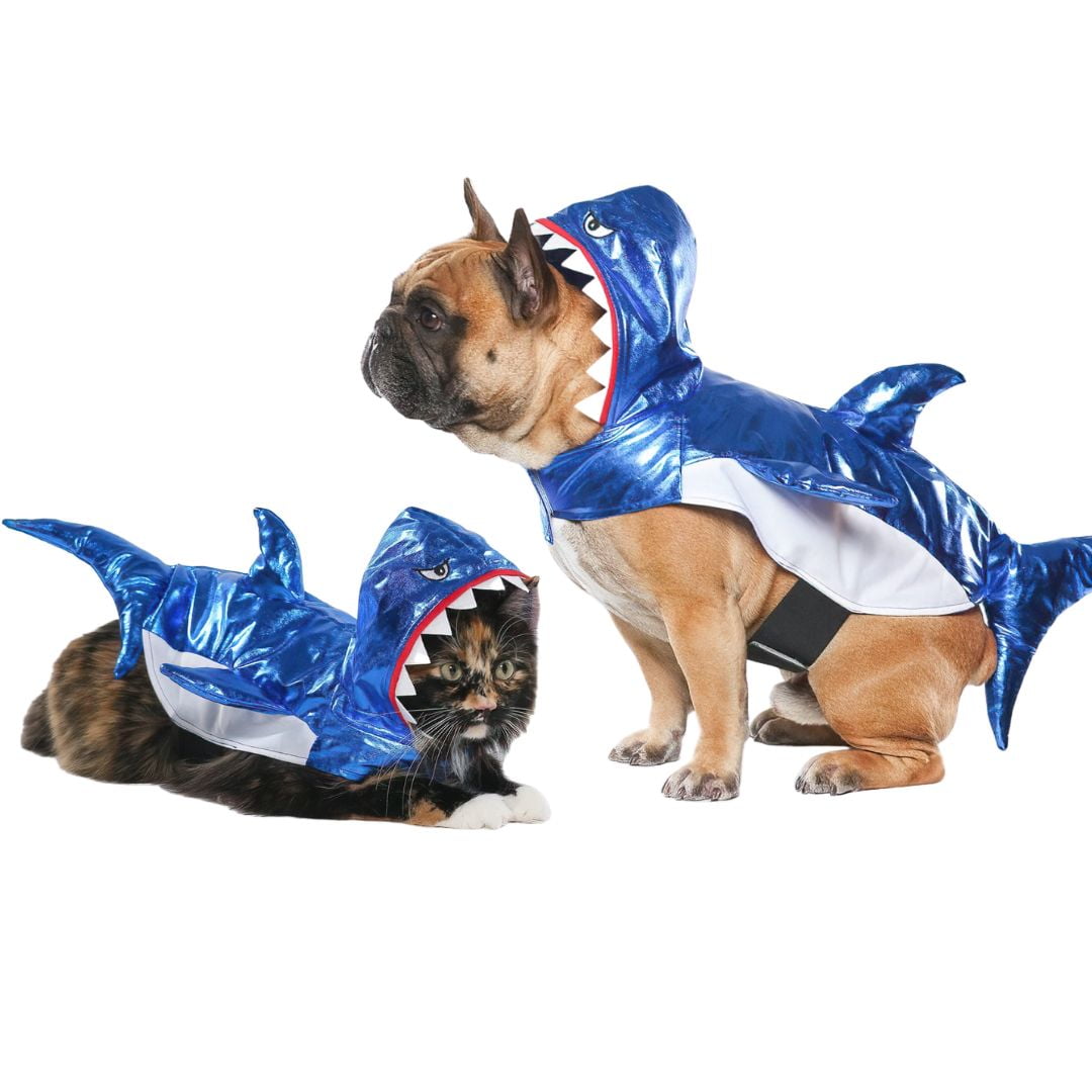 Vibrant Life Halloween Dog Costume and Cat Costume: Shark, Size Small - Walmart.com