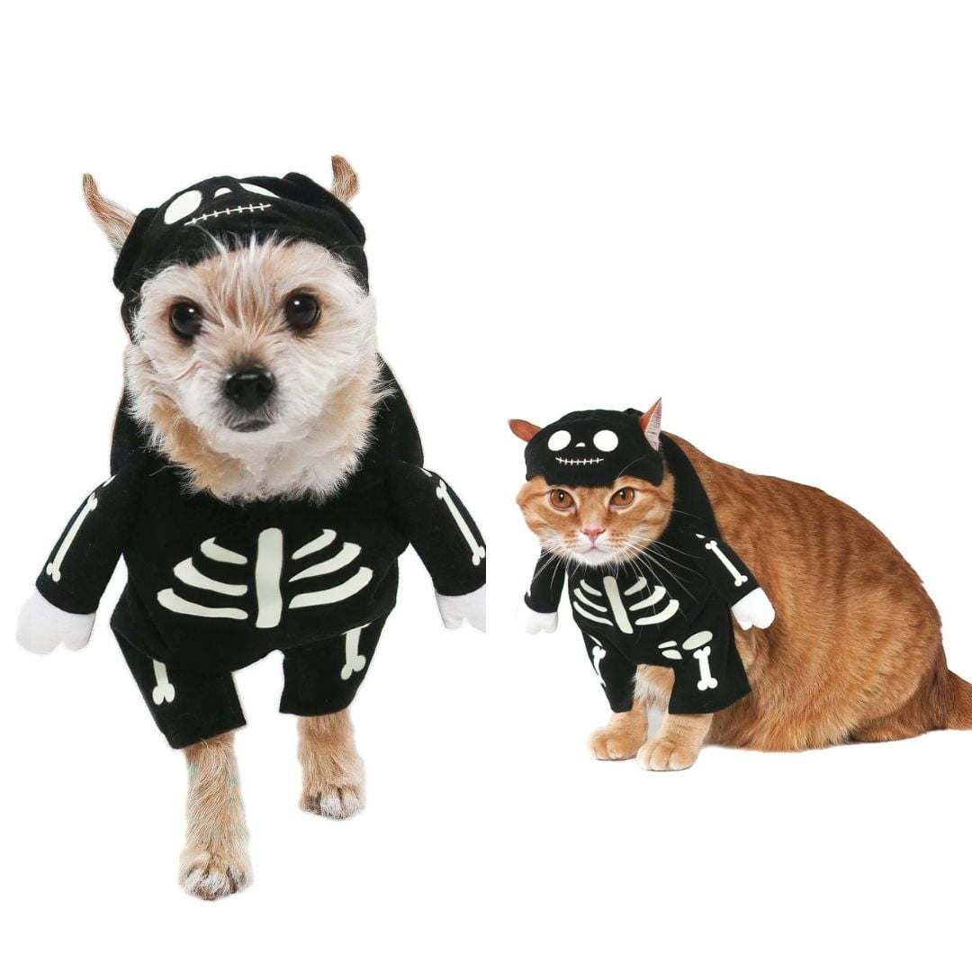 Vibrant Life Halloween Dog Costume and Cat Costume Skeleton Glowin