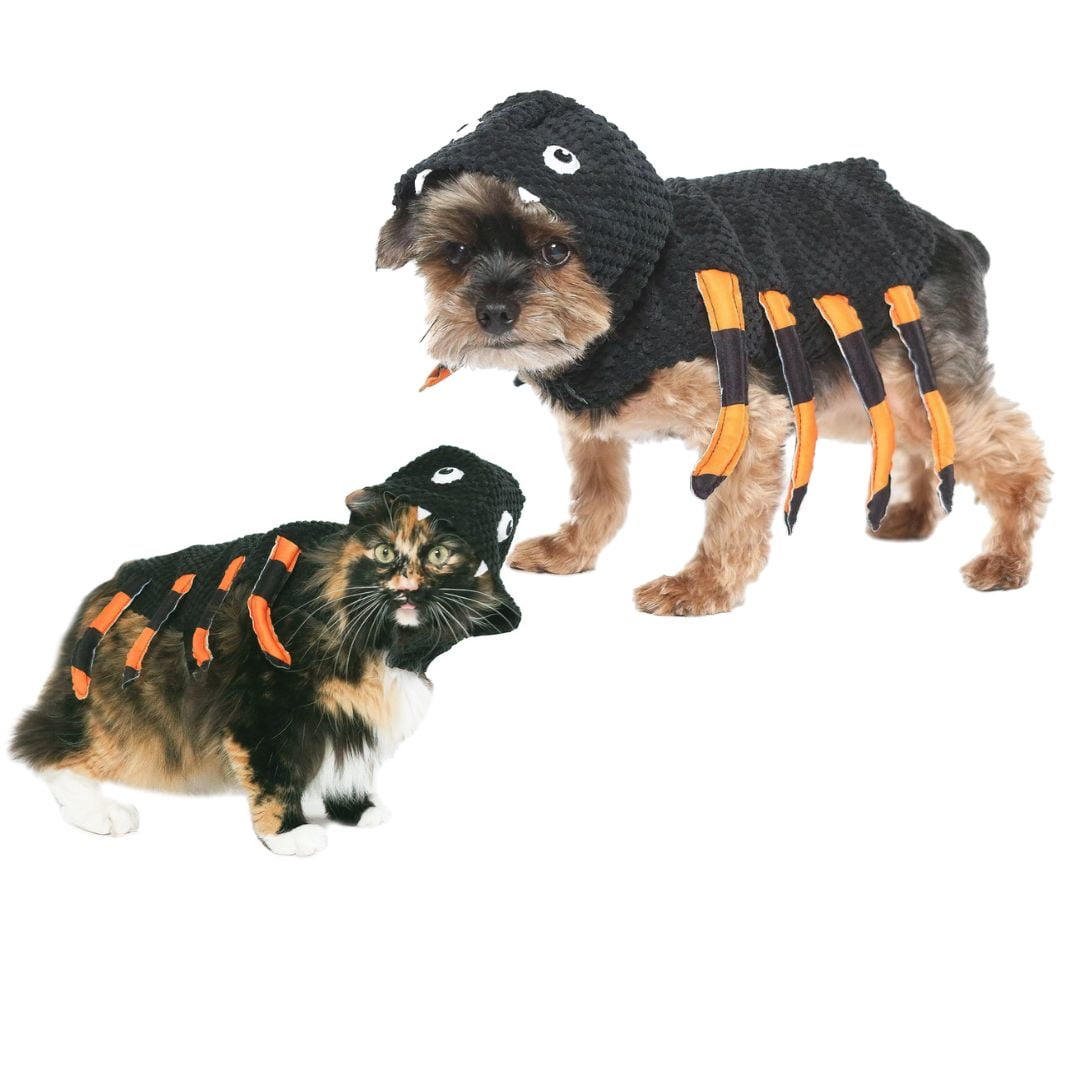 Dog Safe Paint Halloween