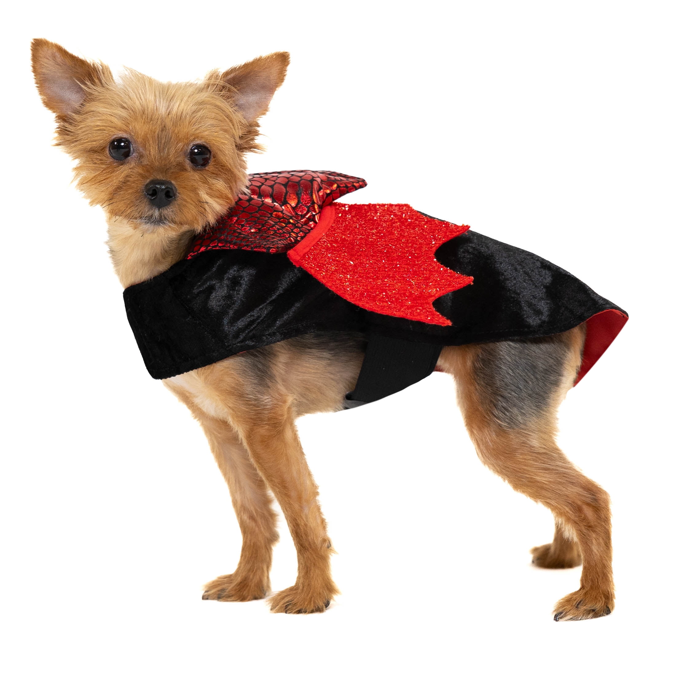 Vibrant Life Halloween Dog Costume and Cat Costume: Vampire, Size Extra-Small