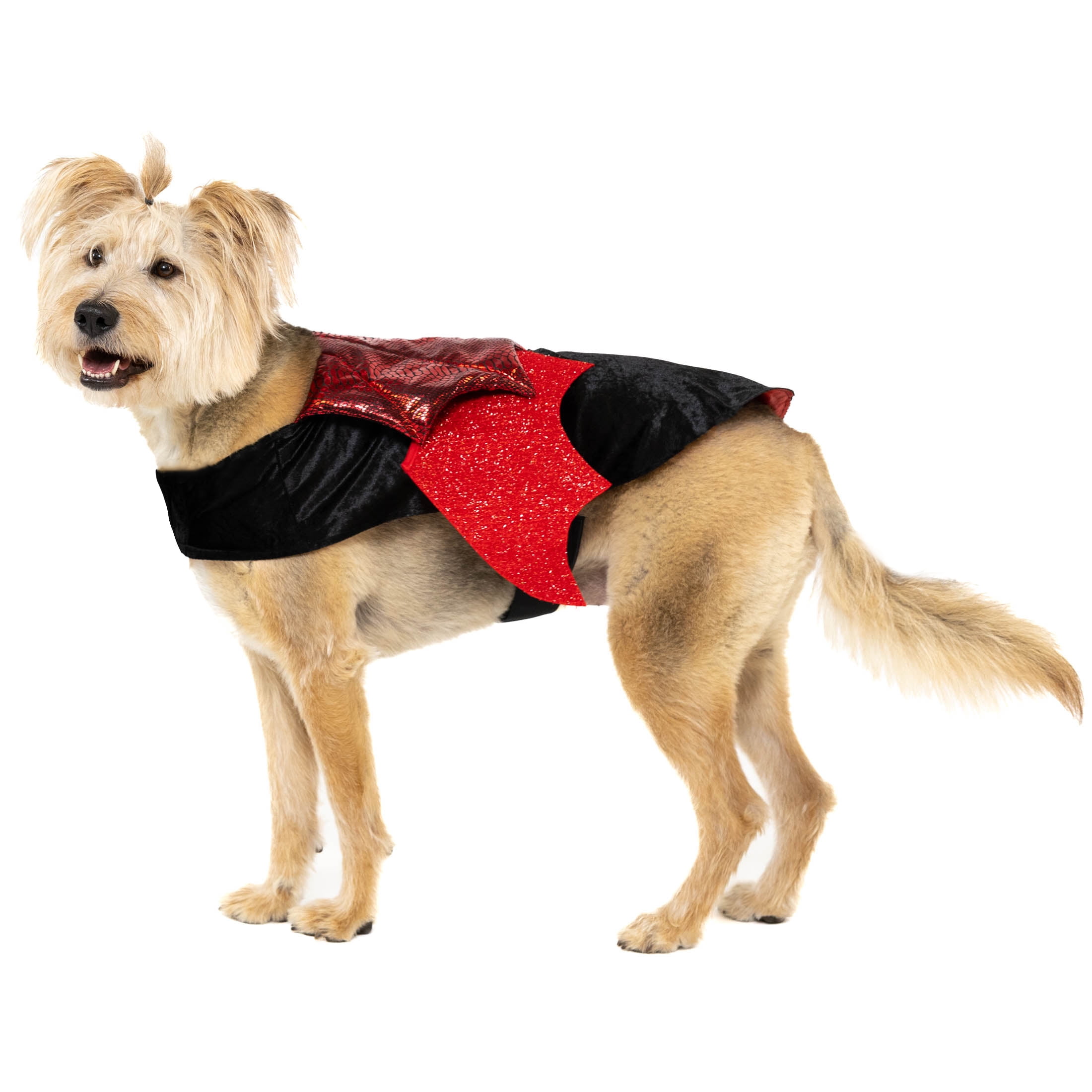 Vibrant Life Halloween Dog Costume and Cat Costume: Vampire, Size Large