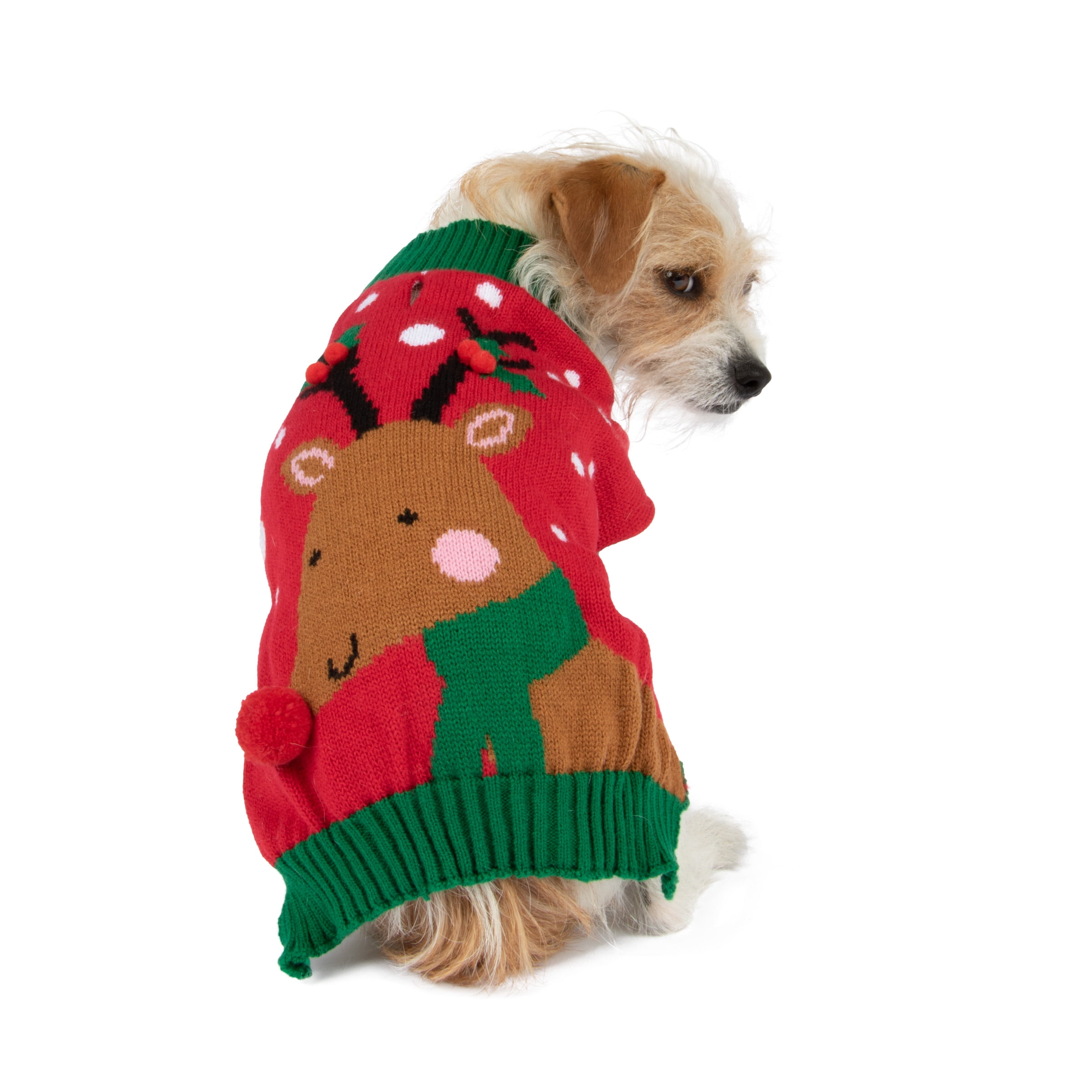Pet Christmas Present Sweater | Adult | Unisex | Brown/Green/Red | XL | Fun Costumes