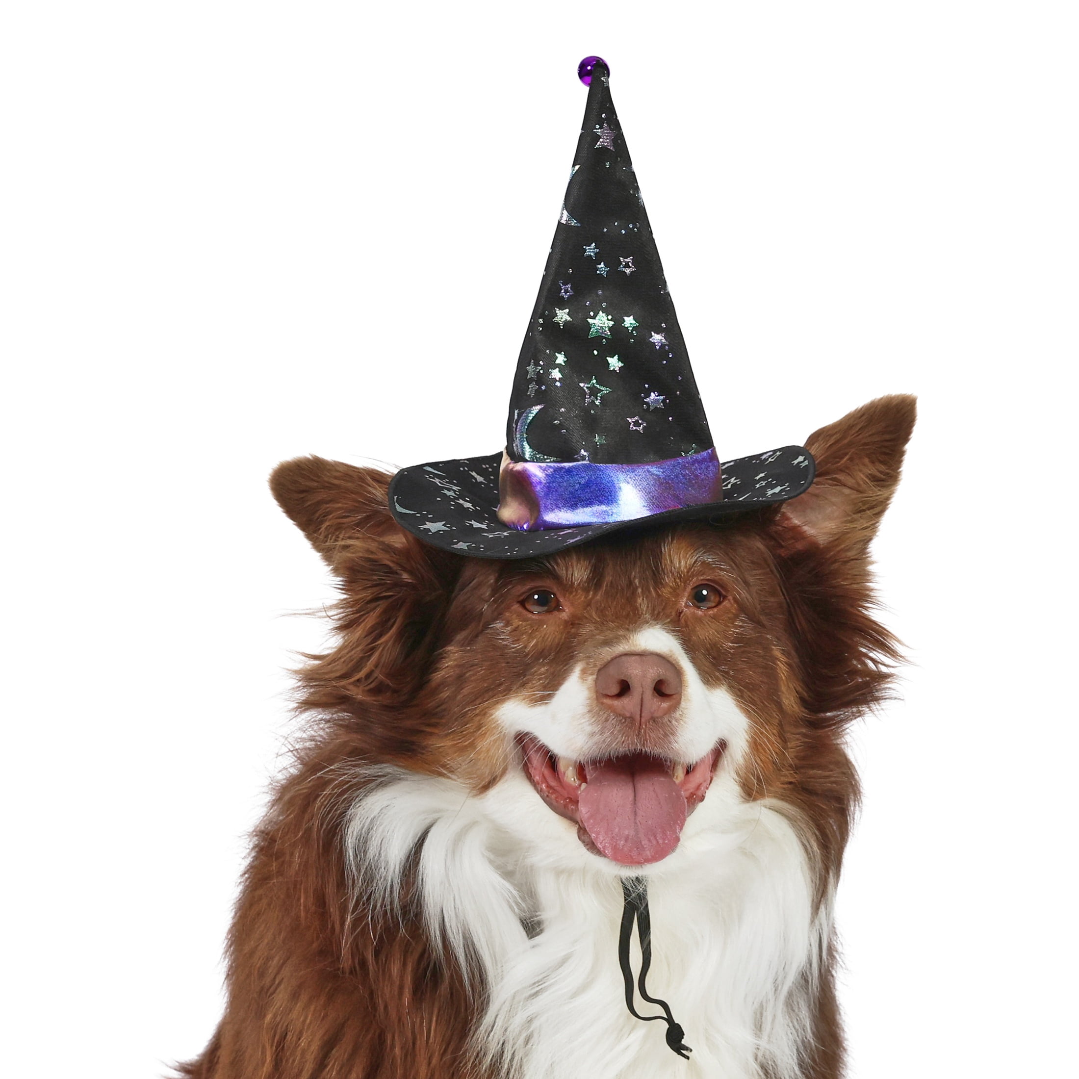 Vibrant Life Halloween Witch's Hat Costume for Dogs, Black, M/L