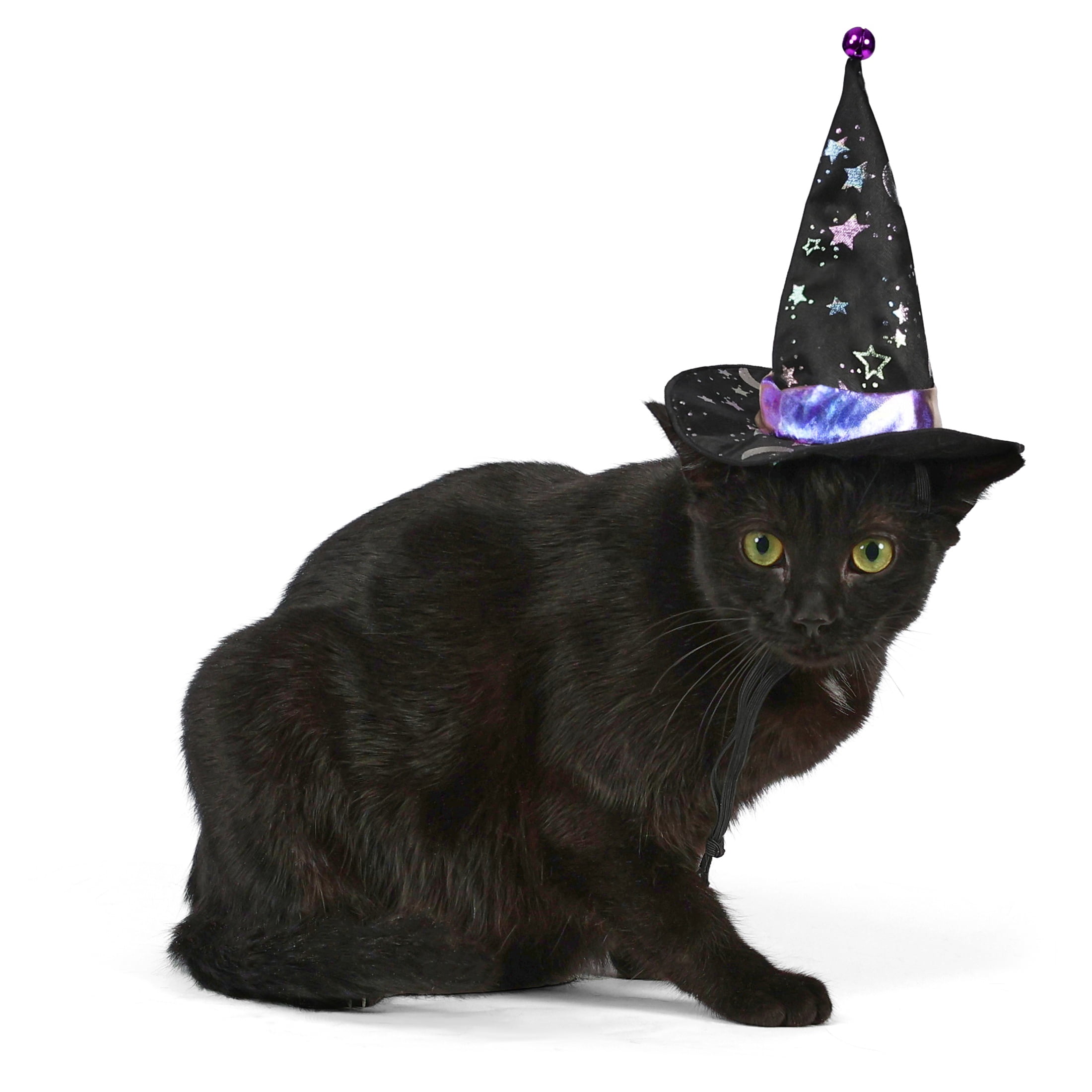 Vibrant Life Halloween Witch's Hat Costume for Dogs and Cats, Black, XS/S