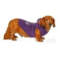 thumbnail image 1 of Vibrant Life Halloween Hoodie for Dogs & Cats, I Am that Witch, Purple, Small, 1 of 9