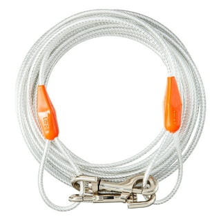 Dog Chewed Cable Wire Outside