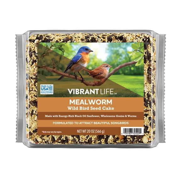 Vibrant Life 20 oz Mealworm Wild Bird Seed Cake for Backyard Songbirds