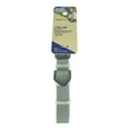 thumbnail image 1 of Vibrant Life Medium Dog Collar, Grey, 1 of 6