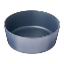 Vibrant Life Melamine Dog Bowl, Blue, Medium