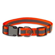Vibrant Life Nylon Reflective Adjustable Dog Collar, Orange, M