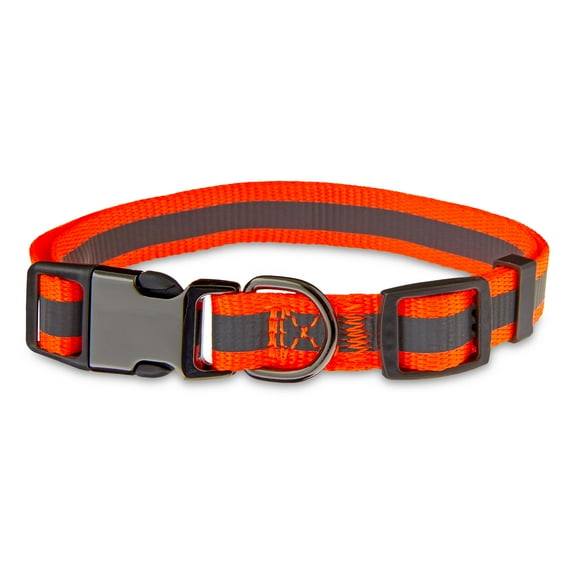 Vibrant Life Metal & Nylon Fashion Dog Collar, Orange, Medium